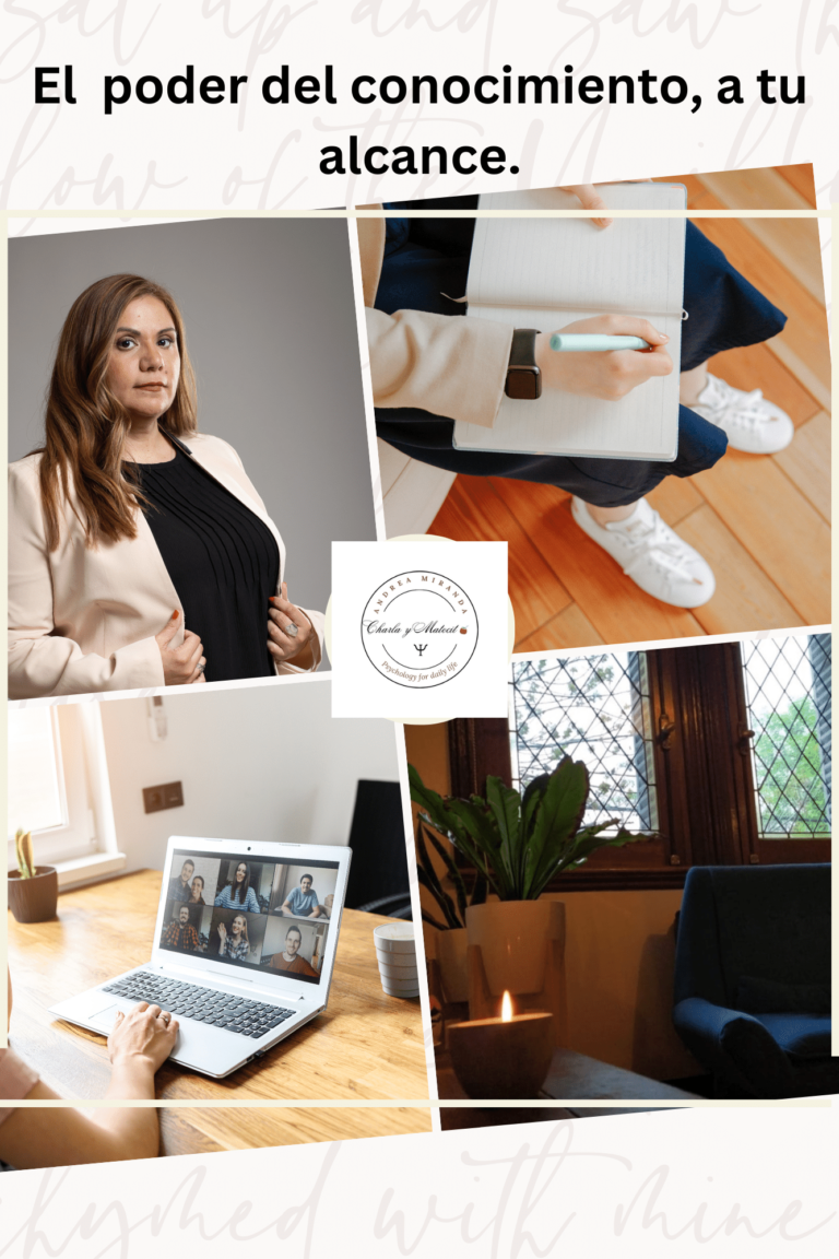 foto 3 para miamiemprende b 768x1152